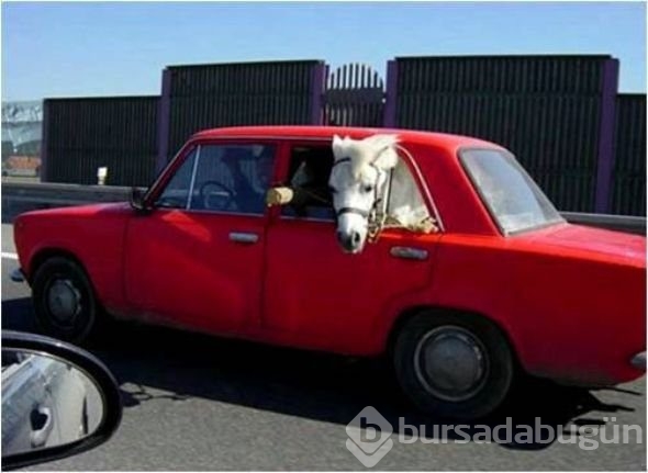 En çok tıklanan fotoğraflar