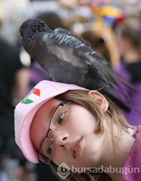 En çok tıklanan fotoğraflar