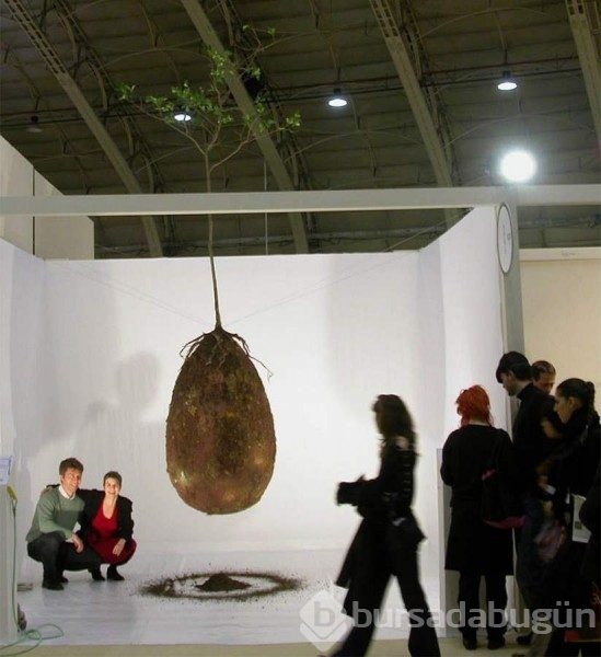 Bu çılgın projeyle öldükten sonra bir ağaç olarak dirilmek mümkün mü?