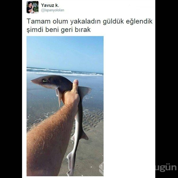 İnterneti sallayan komik paylaşımlar