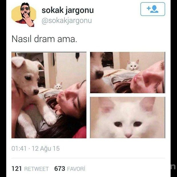İnterneti sallayan komik paylaşımlar