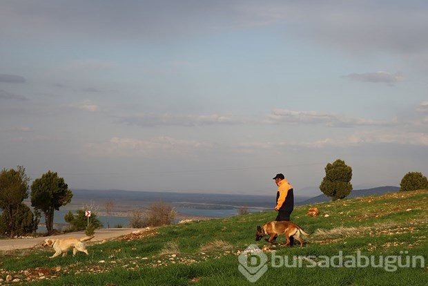 6 yaşındaki Yasin'den iz yok
