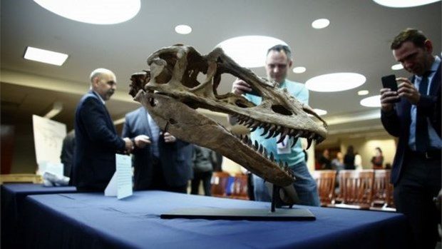 ABD kaçak fosilleri Moğolistan'a iade etti

