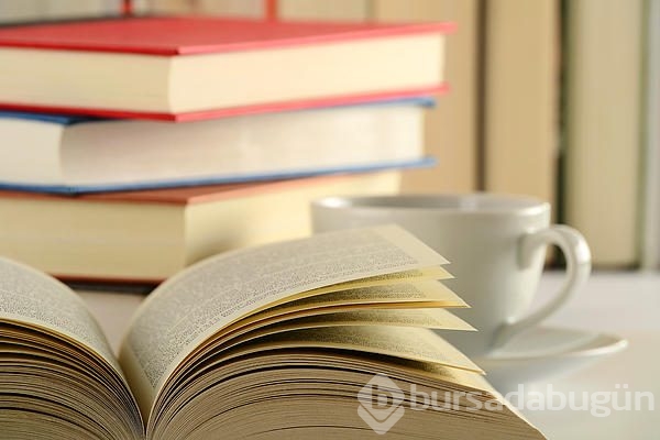 120 sayfa altı 22 kısa ve muhteşem kitap