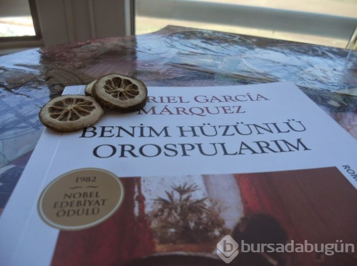 120 sayfa altı 22 kısa ve muhteşem kitap