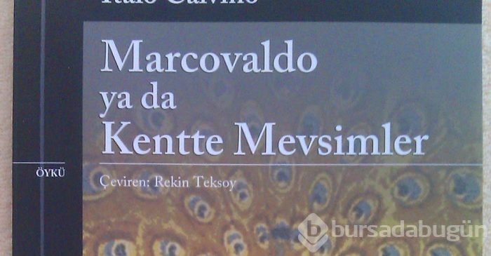 120 sayfa altı 22 kısa ve muhteşem kitap