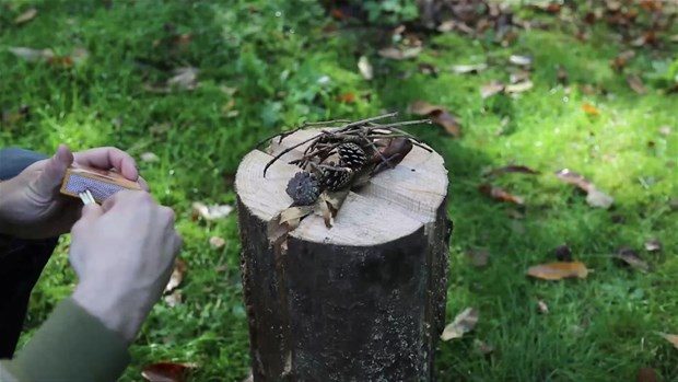 Ağaç kütüğünden öyle bir şey yaptı ki	
