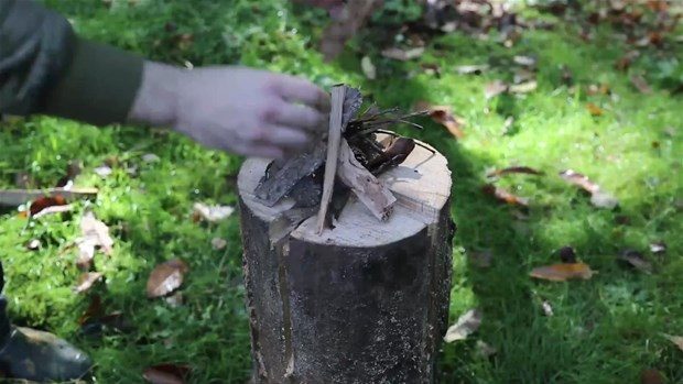 Ağaç kütüğünden öyle bir şey yaptı ki	
