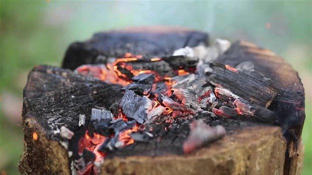 Ağaç kütüğünden öyle bir şey yaptı ki	
