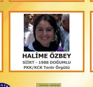 İşte aranan Siirtli teröristler!	
