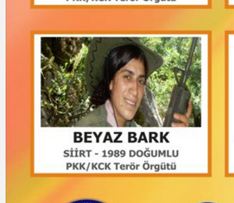 İşte aranan Siirtli teröristler!	