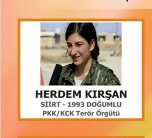 İşte aranan Siirtli teröristler!	