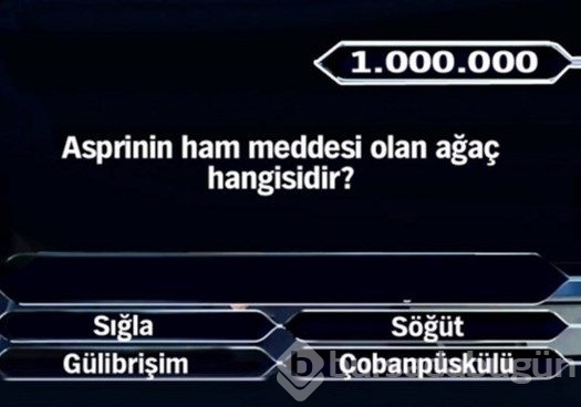 1 Milyon liralık 11 final sorusu