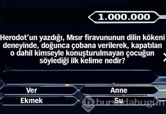 1 Milyon liralık 11 final sorusu