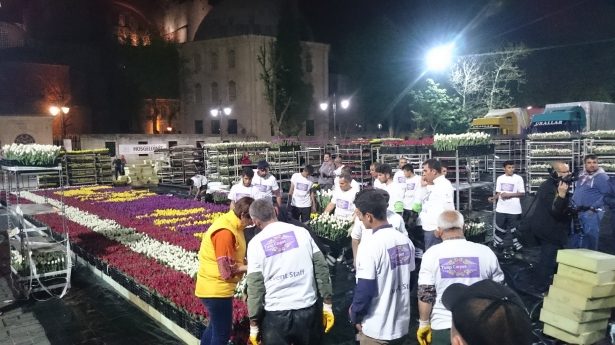 Dünyanın en büyük canlı 'lale halısı' büyüledi