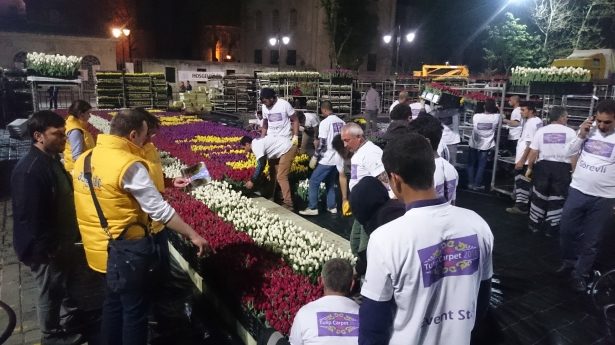 Dünyanın en büyük canlı 'lale halısı' büyüledi