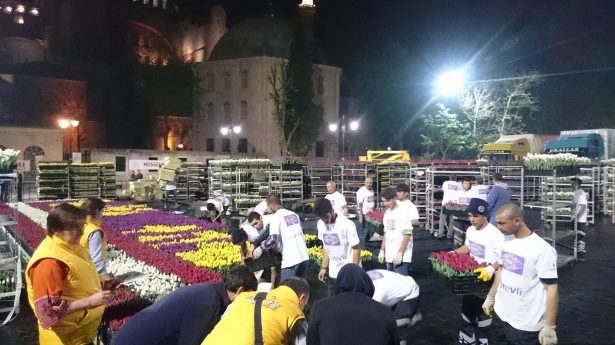 Dünyanın en büyük canlı 'lale halısı' büyüledi