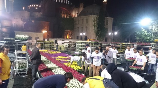 Dünyanın en büyük canlı 'lale halısı' büyüledi