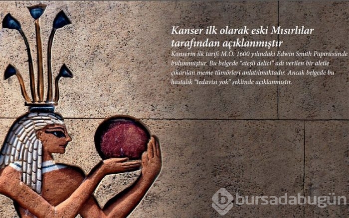 Kanser hakkında bilinmeyen 9 gerçek
