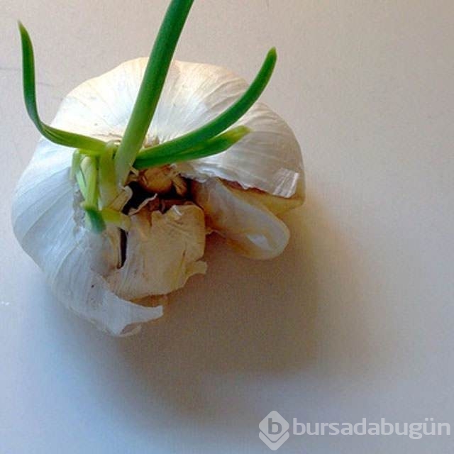 Sakın atmayın!