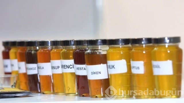 'Bal sirkesi' damarları temizliyor