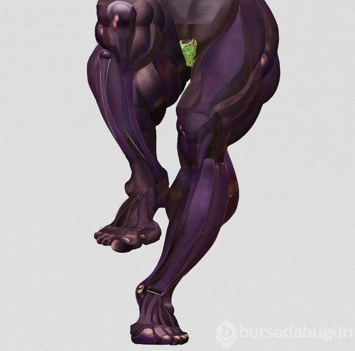 Meyve ve sebzelerle insan anatomisi