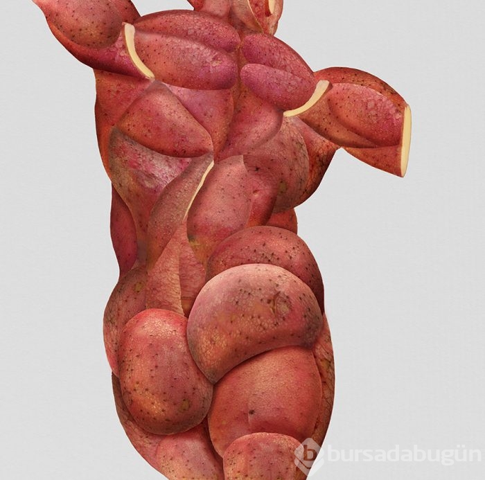 Meyve ve sebzelerle insan anatomisi