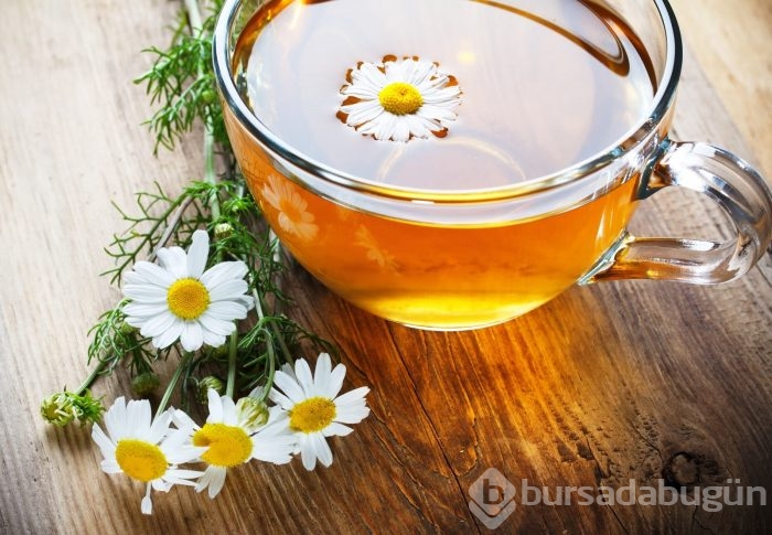 Papatya çayı şifalı mıdır?