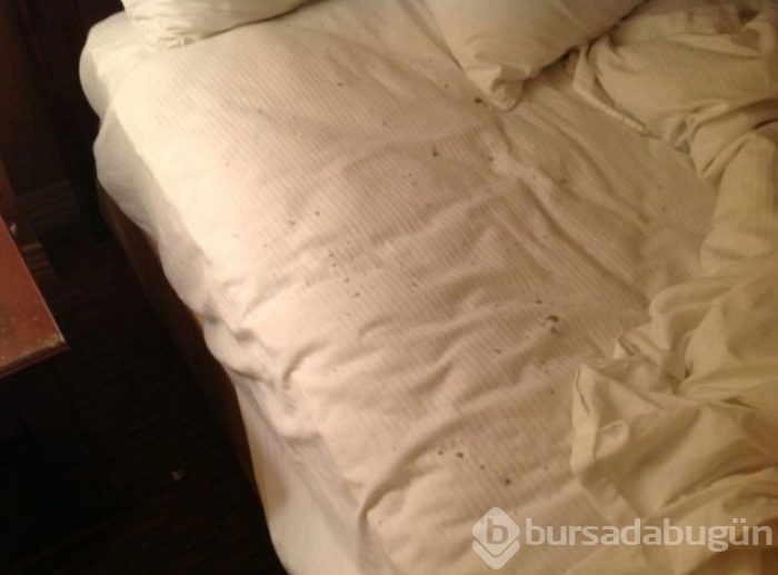 Başlarına öyle bir şey geldi ki...