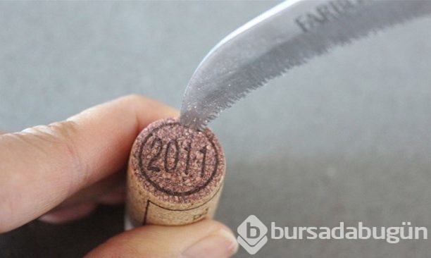 Mantarı kesti biçti sonuç herkesi şaşırttı