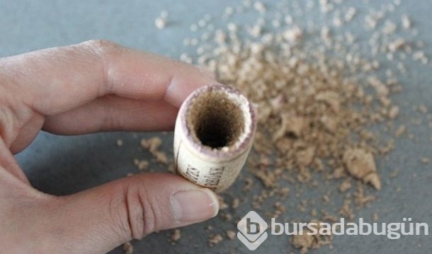 Mantarı kesti biçti sonuç herkesi şaşırttı