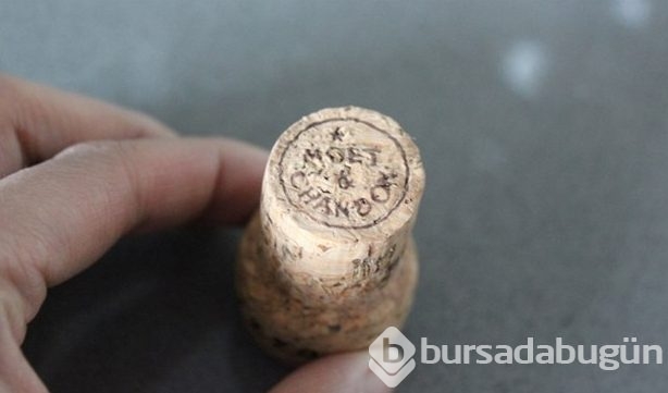 Mantarı kesti biçti sonuç herkesi şaşırttı