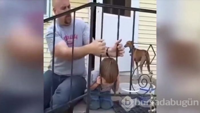 Kafası sıkışan çocuk kendini mucizevi bir yöntemle kurtardı