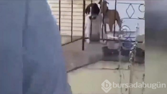 Kafası sıkışan çocuk kendini mucizevi bir yöntemle kurtardı