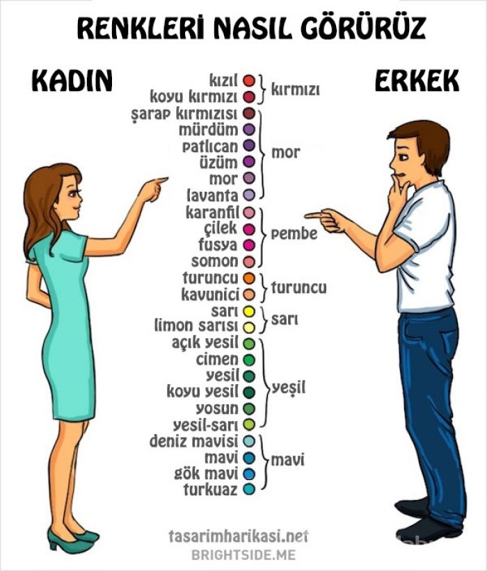 Kadınlar Vs Erkekler karikatürleri