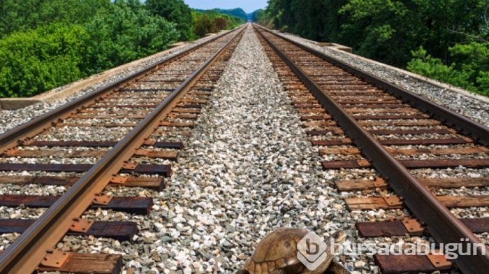 Japonlar tren hatlarını kaplumbağalara göre tasarladı