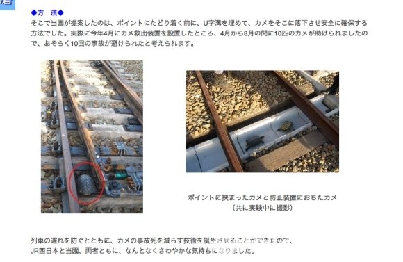 Japonlar tren hatlarını kaplumbağalara göre tasarladı