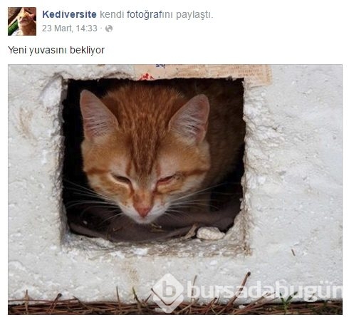 Bu üniversite mezun vermiyor