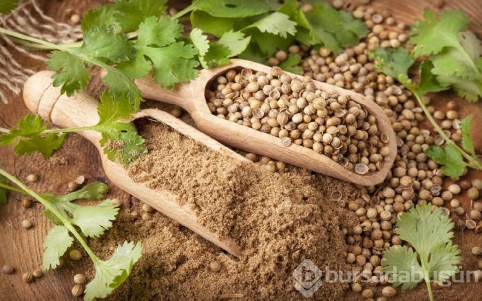 Uzmanlardan canlanmayı sağlayacak beslenme önerileri