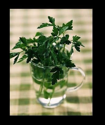 Bahar aylarında nasıl detoks yapılır?