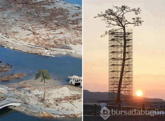Bu fotoğrafların hepsi gerçek
