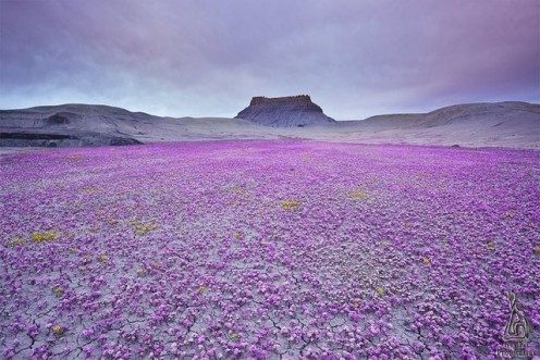 Bu fotoğrafların hepsi gerçek
