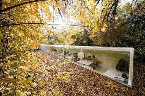 Bu fotoğrafların hepsi gerçek
