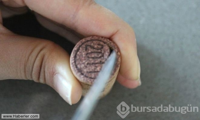Evdeki fazla şişe mantarından bakın ne yaptı