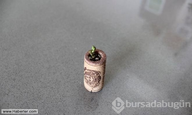 Evdeki fazla şişe mantarından bakın ne yaptı
