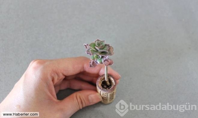 Evdeki fazla şişe mantarından bakın ne yaptı