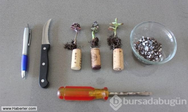 Evdeki fazla şişe mantarından bakın ne yaptı
