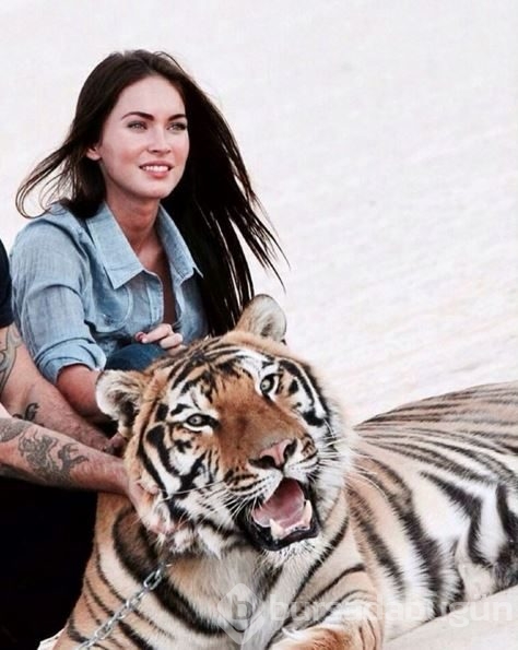 Megan Fox'un bebeğinin babası belli oldu