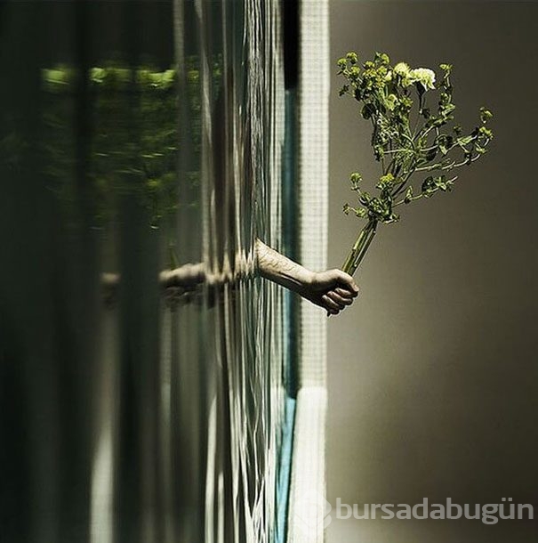 Bu fotoğraflarda photoshop yok, bakmasını bilin yeter!