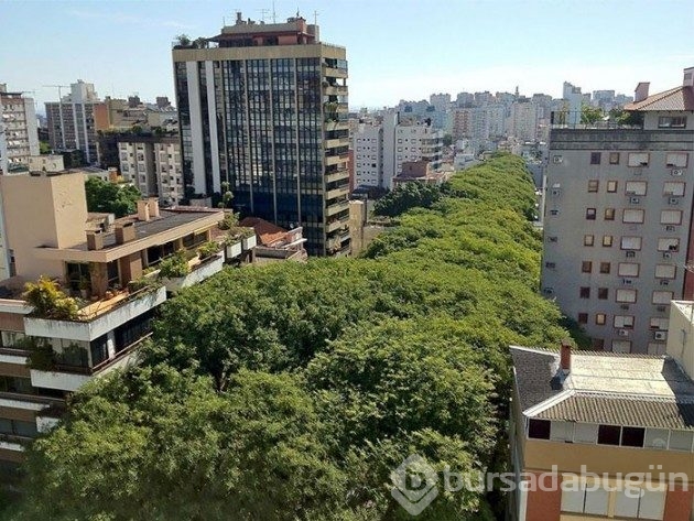 Dünyanın dört bir yanından ilkbahar sokakları